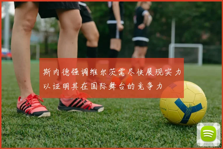 斯内德强调维尔茨需尽快展现实力以证明其在国际舞台的竞争力