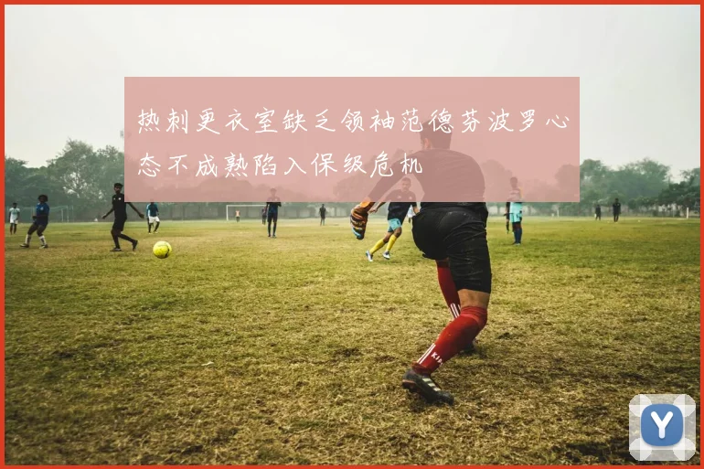 热刺更衣室缺乏领袖范德芬波罗心态不成熟陷入保级危机
