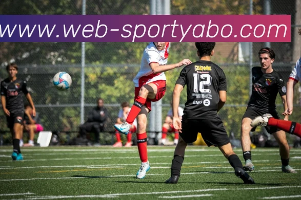 亚博体育平台生态图